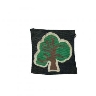 46th Infantry Division Patch